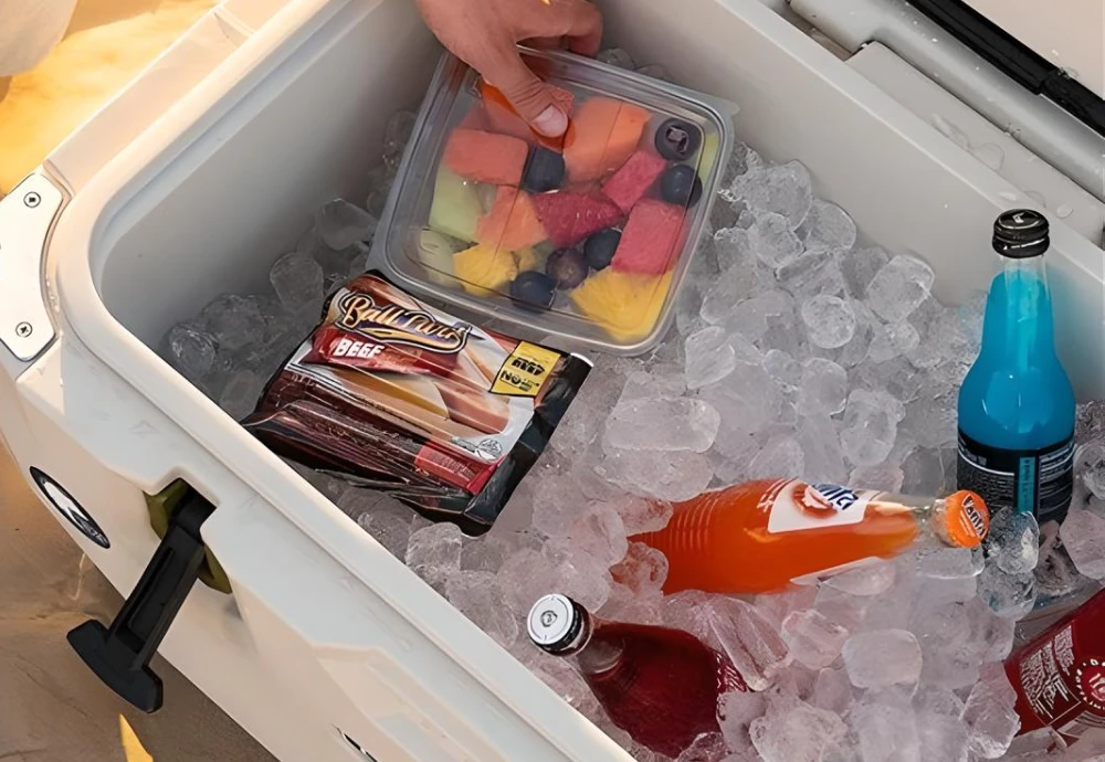 car ice chest cooler