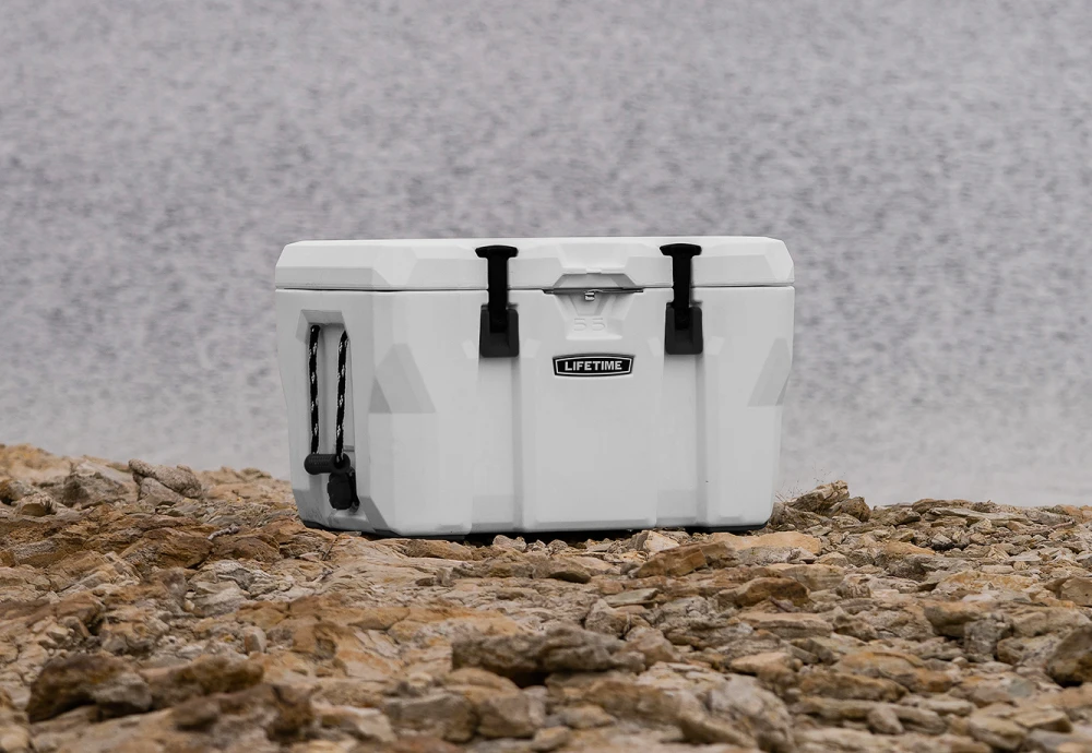 portable cooler box