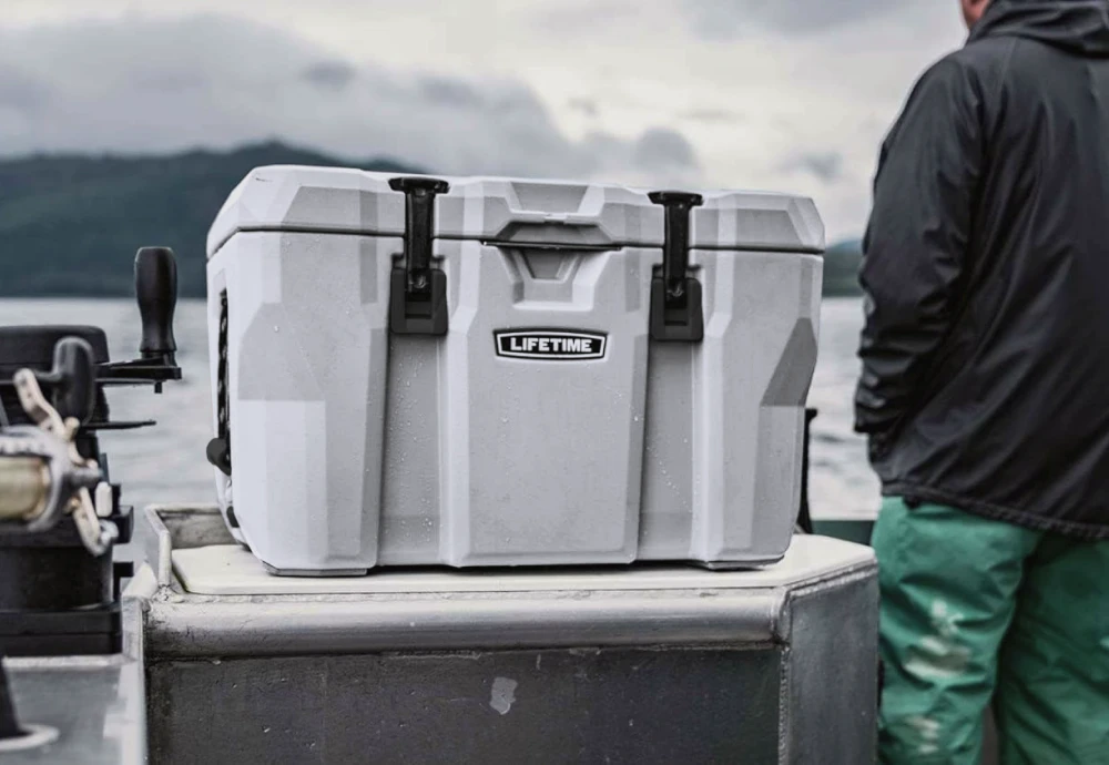 car ice chest cooler