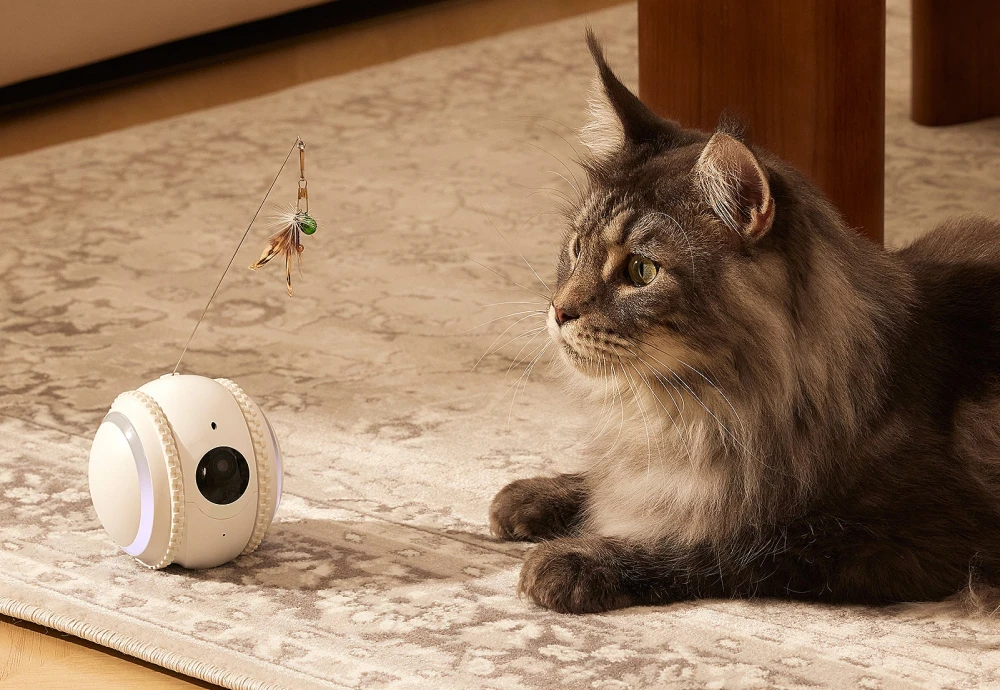 best pet watching camera