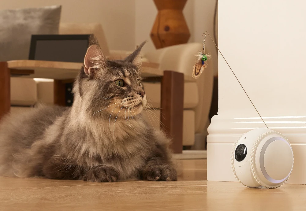 best pet watching camera