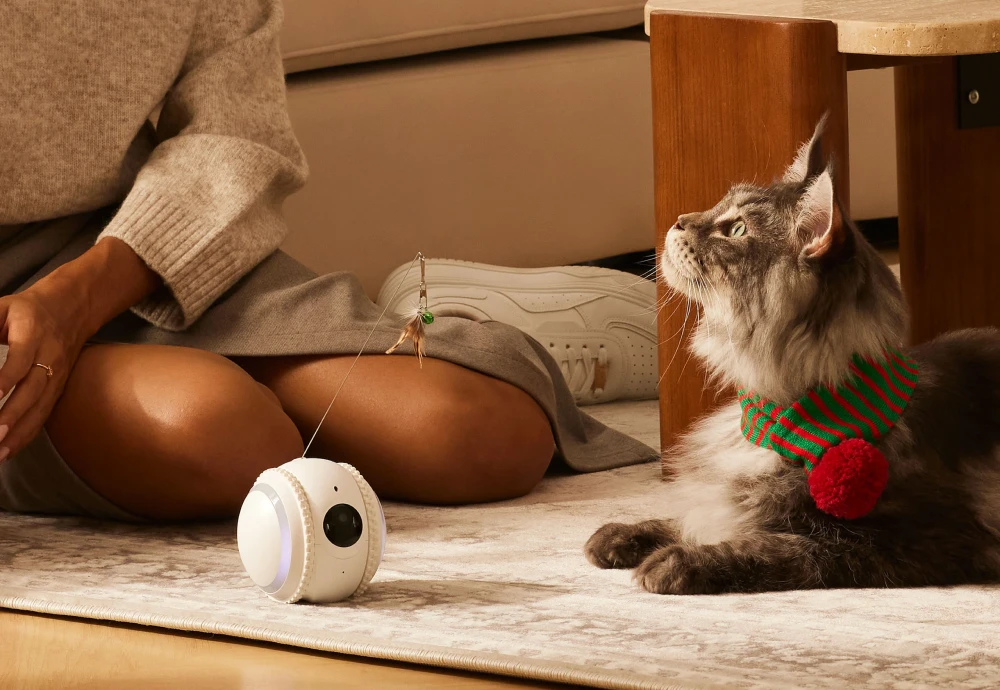 best pet watching camera