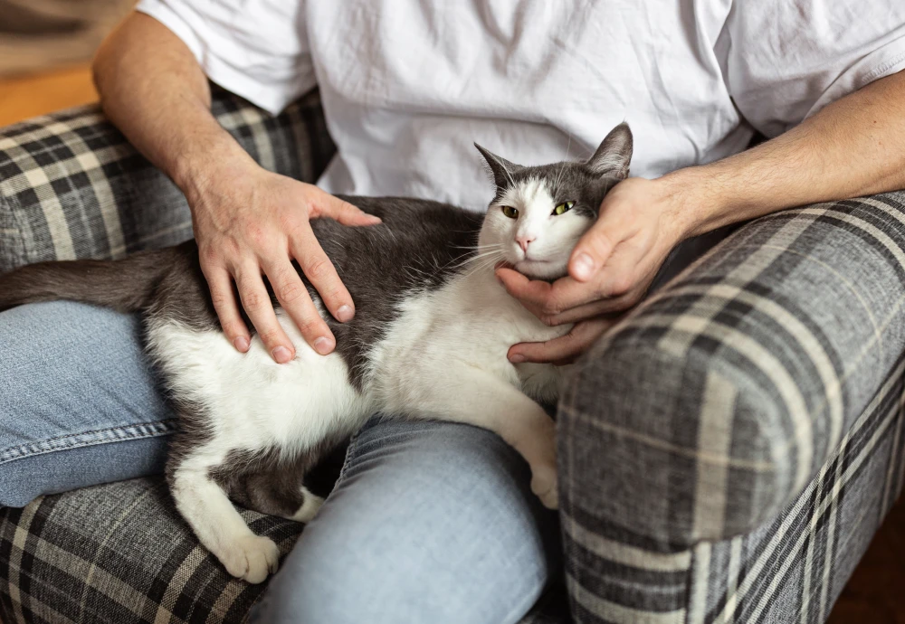 camera for pet photography