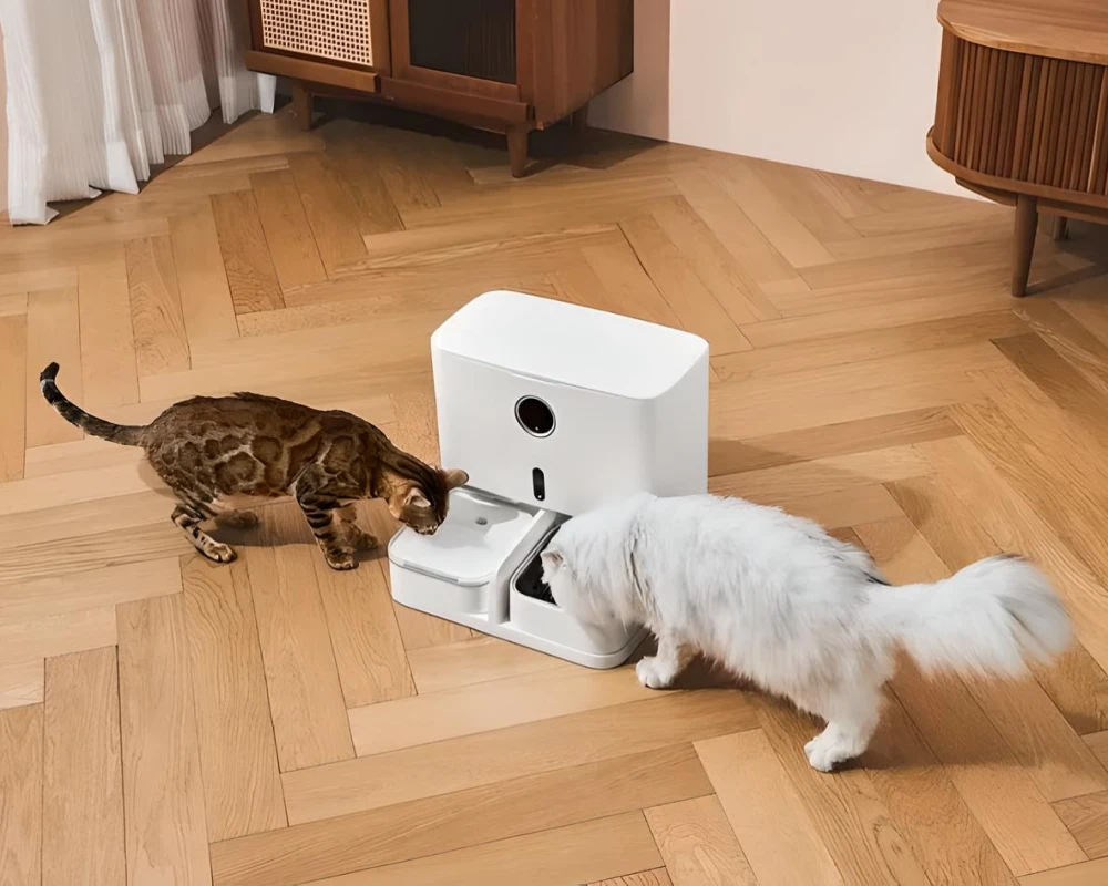 automatic dog feeder and water dispenser